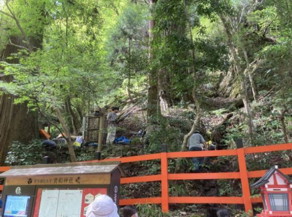 京都「貴船神社」にて新緑ライトアップを5月3日から開催　～境内一帯が約三千本の青もみじに包まれる新緑の名所～