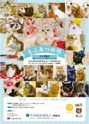 「飛び猫にゃんこ島編」写真展、4月26日から神戸で開催！同時開催「もふあつめ展」で展示の飼い猫写真も募集