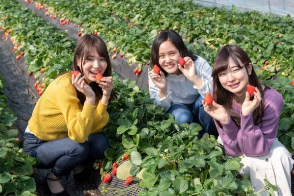 株式会社いちごの里ファーム、グレートカンパニーアワード2023にて『社会貢献賞』を受賞