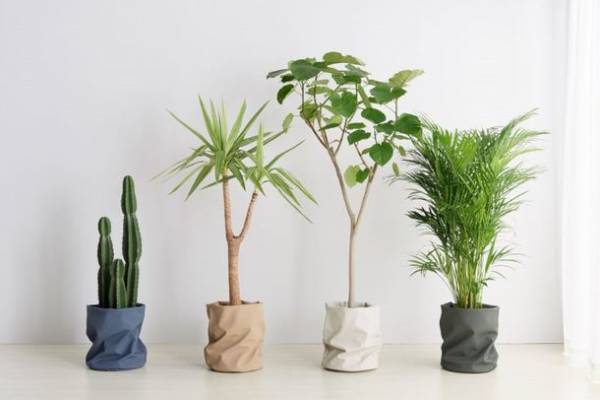 東海三県の陶磁器(やきもの)の魅力が満載　「器と暮らし市vol.3」を6月3日(土)～4日(日)に開催！