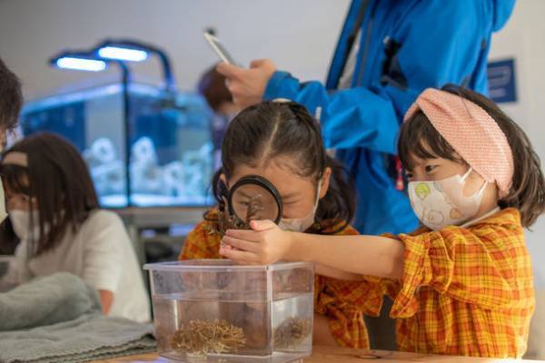 「クイーンズスクエア横浜SDGsアクション2023」4月29日(土・祝)～5月5日(金・祝)開催