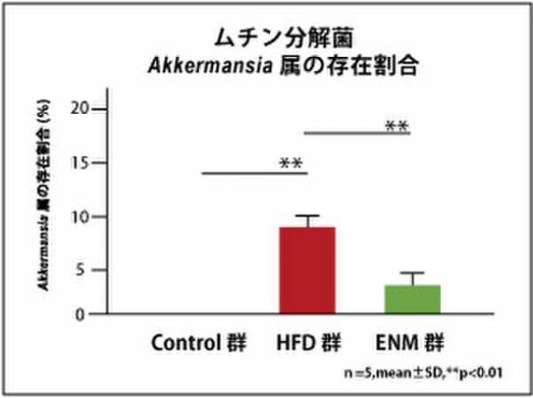 ENZAMINの主要成分“菌体外多糖EPS(レバン)”が腸内バランスを改善し腸内バリア機能を高め、メタボを予防することを発表