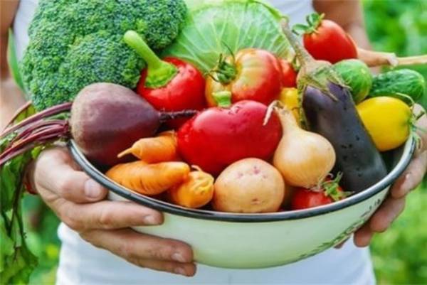 民間学童ウィズダムアカデミーの特製弁当が4月からサービス拡大！校舎内の夕食を平日毎日提供　人気のランチと夕食は一般販売開始　「ウィズダムデリwith Risako's Table」