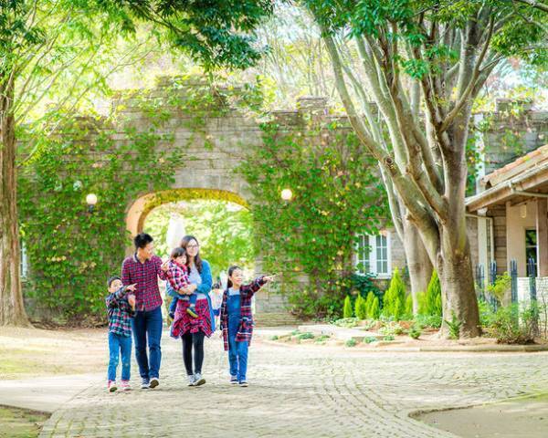 こもれび森のイバライドで“かわいい仔ヒツジ”が5頭誕生！「仔ヒツジお名前募集」を4/14(金)～4/23(日)に実施