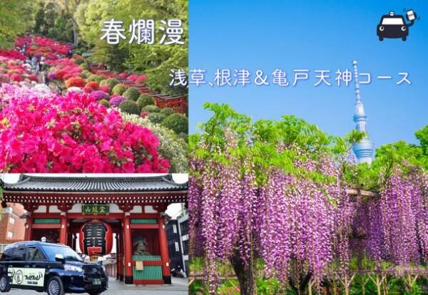 国際自動車「春爛漫　浅草、根津＆亀戸天神コース」の予約を4月14日に開始