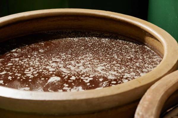 ＜発酵のチカラで本気の「菌活」＞ 100％天然発酵エキス「no.108酵素」新発売　【日本成人病予防協会推奨品】4月18日(火)20:00～インスタライブ開催決定！