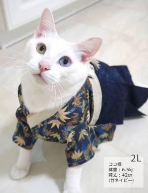 SNSでも話題沸騰中！端午の節句に向けた「袴風ペットウェア＆ペット用カブト」を販売開始