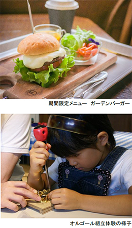 ROKKO森の音ミュージアム ゴールデンウィーク期間限定朝のSIKIガーデン＆楽器準備公開自動演奏バイオリンの調弦など公開実演