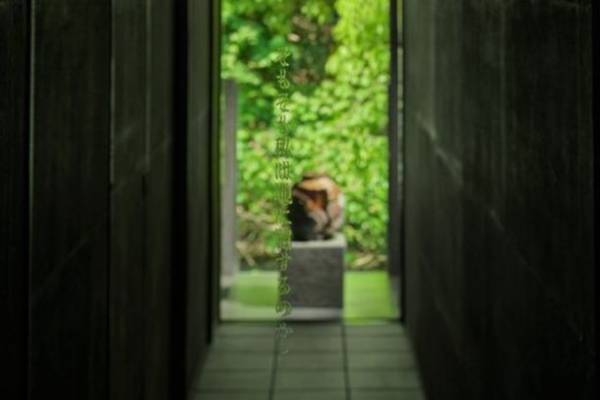 京都・亀岡の老舗旅館「すみや亀峰菴」のスイートルーム「呼風」京都の帯匠・山口源兵衛による最新の作品「八重菊白金」が加わり、4月17日(月)にアートルームとして完成形へ