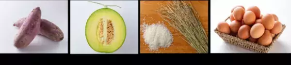 茨城県内16番目の道の駅！“食・農・楽”がテーマの新たな市の玄関口「道の駅常総」4月28日(金)11時グランドオープン