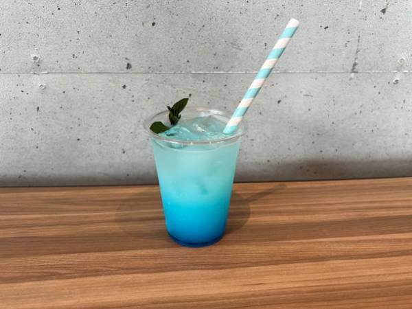 新屋外エリア「オーシャンテラス」でペンギンたちの新プログラム開始！ゴールデンウィークはアクアワールド・大洗で楽しもう♪