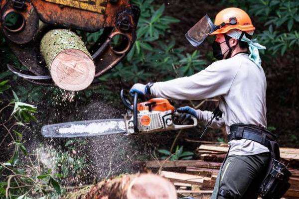 小中高校生が対象の「鎌倉みんなのけんちく学校」が3期目の参加者を募集開始、職人の技を「手」と「五感」でフル体験