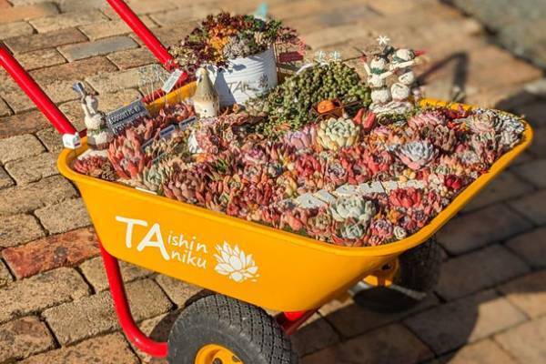 三重県・日本最大級の商業リゾート「VISON」内の木育施設「kiond」で『みどりと森のマルシェ』をGWの5月4日(木・祝／みどりの日)に開催