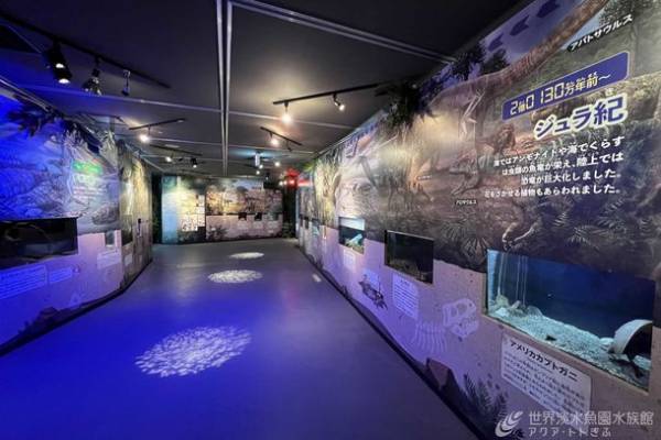 図鑑の世界に飛び込んで古代生物を学ぶ企画展を開催