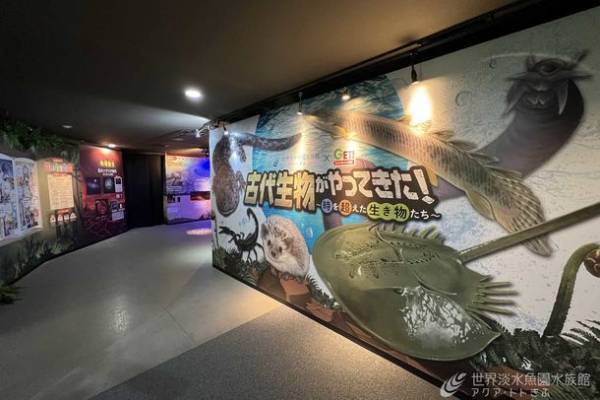 図鑑の世界に飛び込んで古代生物を学ぶ企画展を開催