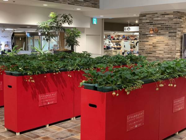 【あべのハルカス近鉄本店】Ｇo！Ｇo！ゴールデンウィーク大人気催事が大集結＆ランドセル大祭典