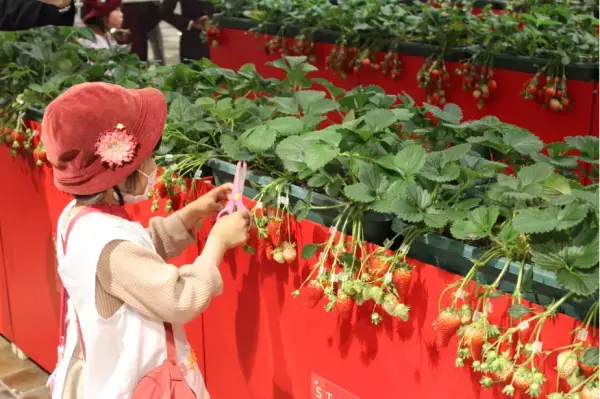 【あべのハルカス近鉄本店】Ｇo！Ｇo！ゴールデンウィーク大人気催事が大集結＆ランドセル大祭典