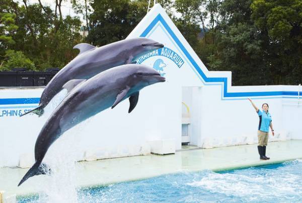 しながわ水族館、海の環境問題について遊んで学べる謎解き「ちびゴジラと学ぶ謎解きSDGs-海のゆたかさをまもろう編-」を期間限定で販売！