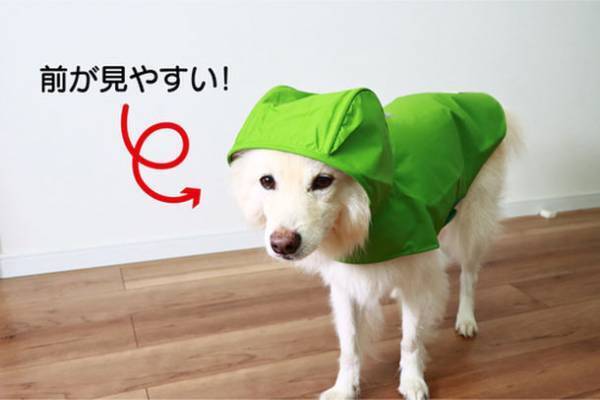 デロリアンズの犬用レインコートで雨の日散歩　愛犬の写真・動画をInstagramにて5月31日まで募集
