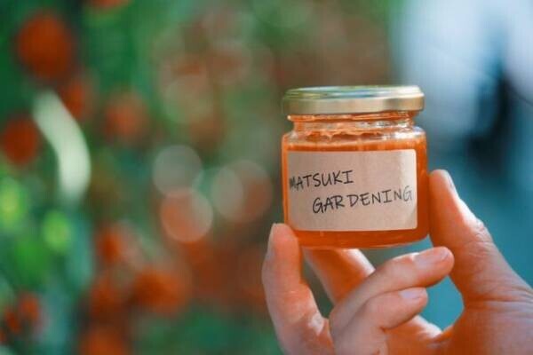 鹿児島のMATSUKI GARDENING、クラファン800％超達成の完熟アイコトマトジャムの追加販売を開始！