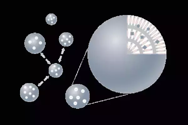 サーキュラービューティ※1“Aetas(エタス)”5月27日(土)日本と中国で同時発売！全商品自然由来指数90％以上のクリーンビューティスキンケアブランド誕生