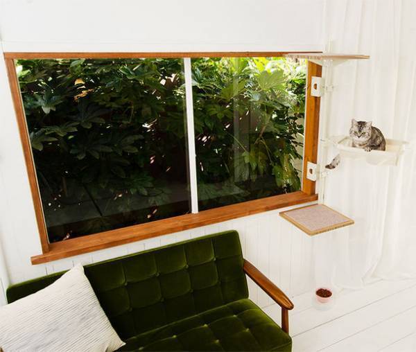 窓枠に付けるキャットタワー！Instagramにて『ねこゴロン』第3回公式アンバサダーを5月8日から5月21日まで募集