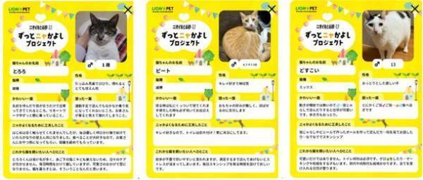 2月22日“猫の日”より実施したSNSチャリティー企画『＃ニャかよしメイト募集キャンペーン』実施完了のご報告