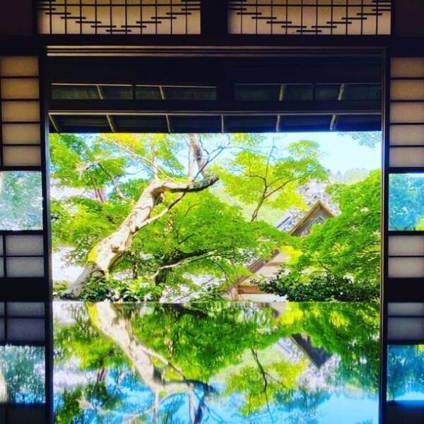 GWイベント[新緑ウイーク]京都「柳谷観音」開催　SNSで人気の“花手水”発祥の地　歴史的建造物を後世に残すクラファンも開始