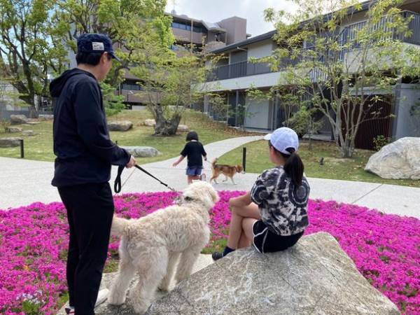 緑と犬とコミュニティと。地域と共にあるシャーメゾン「The Villages」　～様々な事業を紹介する「積水ハウス ストーリー」の最新情報を公開～