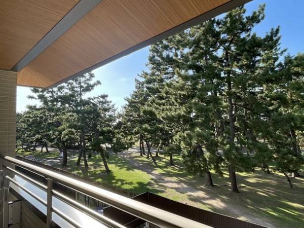 緑と犬とコミュニティと。地域と共にあるシャーメゾン「The Villages」　～様々な事業を紹介する「積水ハウス ストーリー」の最新情報を公開～