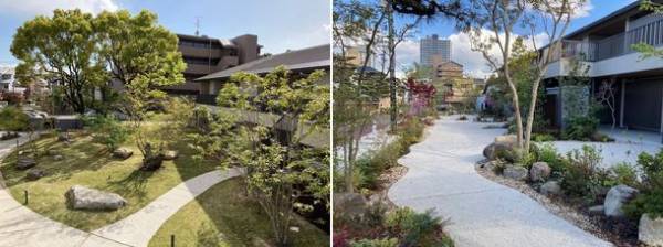 緑と犬とコミュニティと。地域と共にあるシャーメゾン「The Villages」　～様々な事業を紹介する「積水ハウス ストーリー」の最新情報を公開～