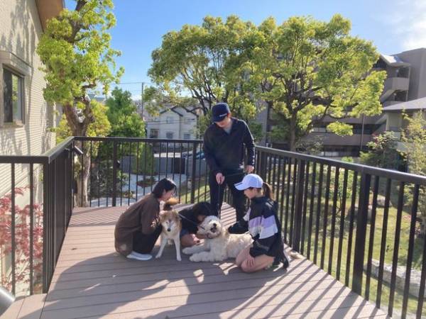 緑と犬とコミュニティと。地域と共にあるシャーメゾン「The Villages」　～様々な事業を紹介する「積水ハウス ストーリー」の最新情報を公開～