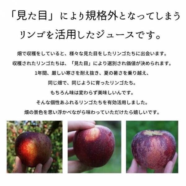 長野県産りんごをふんだんに使ったスイーツ店へ「旬彩果匠ゑびす堂」がリニューアルオープン！