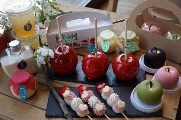 長野県産りんごをふんだんに使ったスイーツ店へ「旬彩果匠ゑびす堂」がリニューアルオープン！