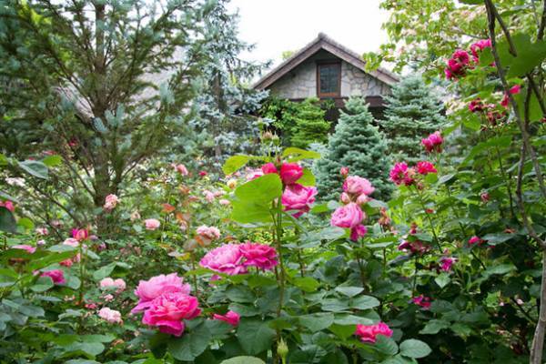 結婚祝いで人気「FOR2ギフト」に新価格のラインナップが登場　「一度、やってみたかった」が叶う体験ギフトを発売