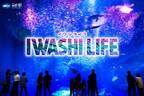 過去最多！約20,000匹のイワシたちが出会いの海で力強く群れ動く『IWASHI LIFE』が5月25日からバージョンアップ！
