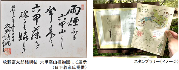 好評につき延長開催決定！六甲山ボタニカルフェア六甲高山植物園×ROKKO森の音ミュージアム合同開催開催中～2023年8月15日（火）まで延長