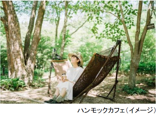 好評につき延長開催決定！六甲山ボタニカルフェア六甲高山植物園×ROKKO森の音ミュージアム合同開催開催中～2023年8月15日（火）まで延長