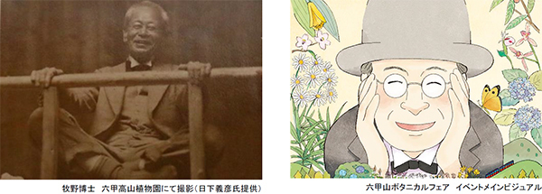 好評につき延長開催決定！六甲山ボタニカルフェア六甲高山植物園×ROKKO森の音ミュージアム合同開催開催中～2023年8月15日（火）まで延長