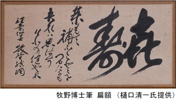 好評につき延長開催決定！六甲山ボタニカルフェア六甲高山植物園×ROKKO森の音ミュージアム合同開催開催中～2023年8月15日（火）まで延長