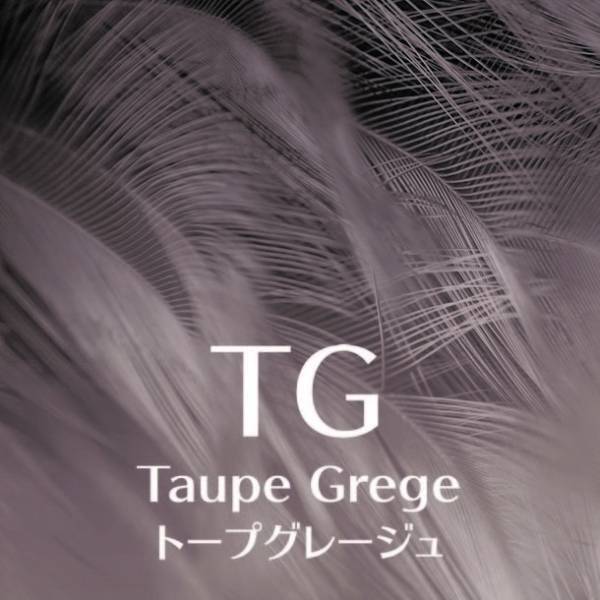 美のプロフェッショナルとともに“あなただけの美しさ”へと導く　新WEBメディア『Be Hair Stories ～美しく生きるあなたへ～』を配信スタート！