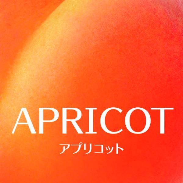 美のプロフェッショナルとともに“あなただけの美しさ”へと導く　新WEBメディア『Be Hair Stories ～美しく生きるあなたへ～』を配信スタート！