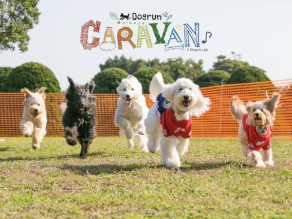 富士見高原リゾートで6月10日(土)・11日(日)に開催される「THE CAMP BOOK 2023」、各ステージのタイムテーブル発表＆コンテンツを紹介