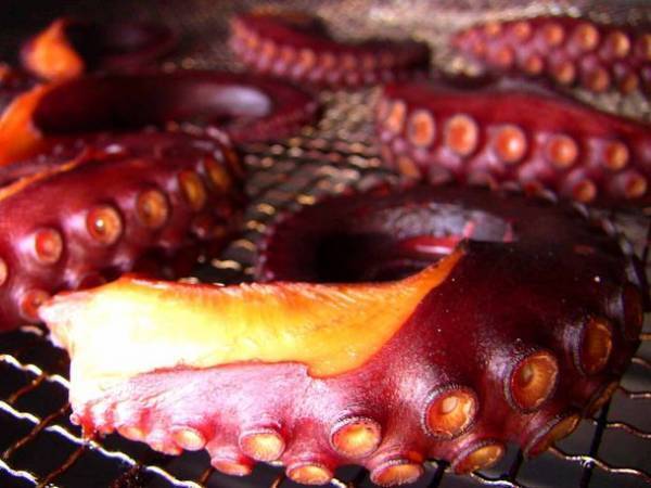 全国500人による12,000点以上の手づくり作品が集結！「瀬戸内ハンドメイドマルシェ2023」6/24(土)25(日)に開催！