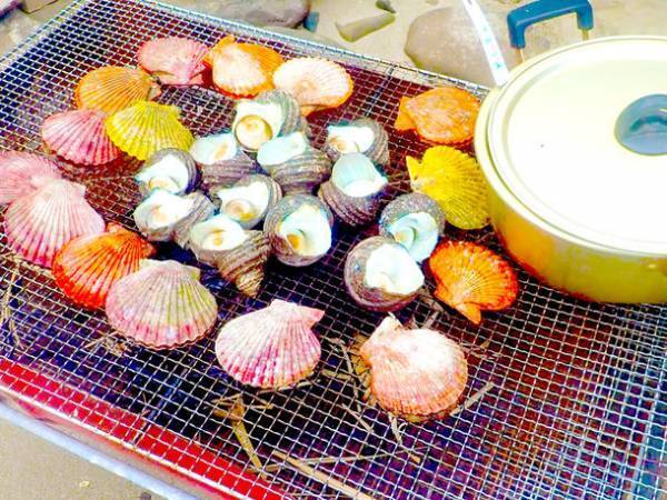 “目の前180°が海”　海との一体感が満喫できる愛媛県宇和島市のキャンプ場「GO-HIGHTAKA」がリニューアル！　～海まで2メートル！自然にどっぷり体験を～