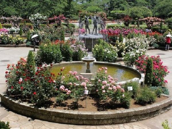 初夏のお出かけはここに決まり！5～6月にバラが見頃を迎える「ちばローズ・ガーデン・ロード」の最新イベント情報を公開