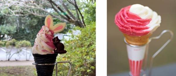 初夏のお出かけはここに決まり！5～6月にバラが見頃を迎える「ちばローズ・ガーデン・ロード」の最新イベント情報を公開