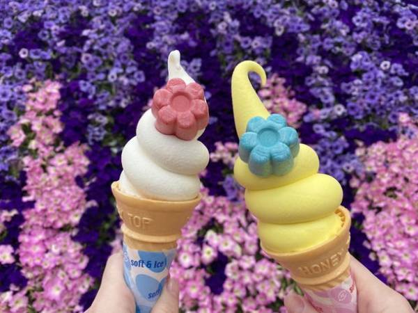 月夜野きのこ園、親子のための体験型イベント『世界のクワガタ・カブト大集合！』を7月16日に開催