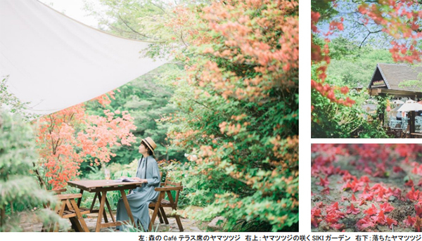 ROKKO森の音ミュージアムSIKIガーデンEarly Summer Seasonツツジ、オオデマリなどに彩られた初夏のガーデン2023年5月20日（土）～6月14日（水）