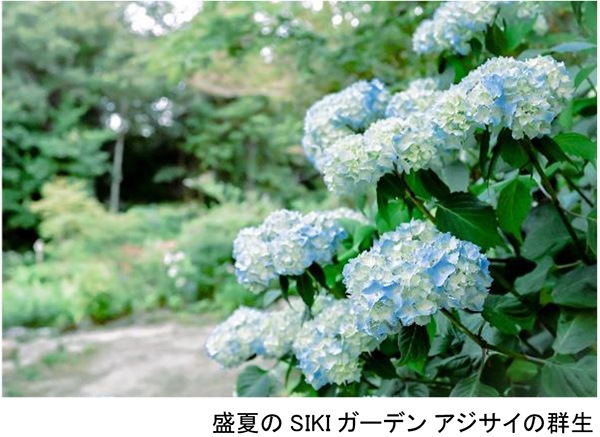 ROKKO森の音ミュージアム 夏イベントSIKIガーデンフェス2023 開催2023年7月15日（土）～17日（月・祝）